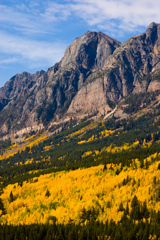 Yellowhead Mountain